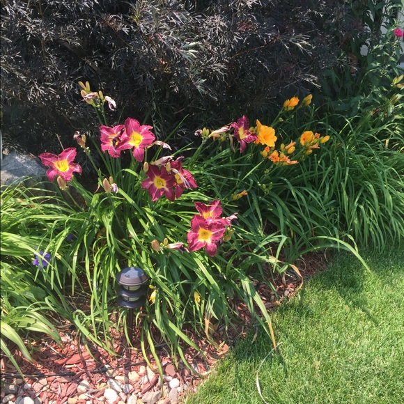 Profile Picture of Connie Keahon (@ckeahon) on Poshmark