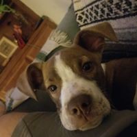 Profile Picture of Brian Lannon (@brian-lannon-6) on Quora