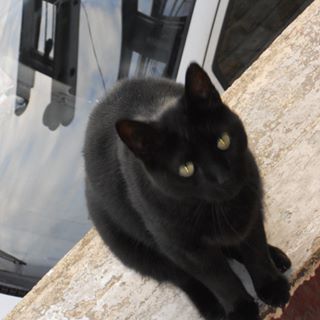 Profile Picture of Laurence Barbot (@laurence.barbot.9) on Facebook