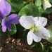 Profile Picture of Dawn Englehart (@dawn.englehart.56) on Facebook