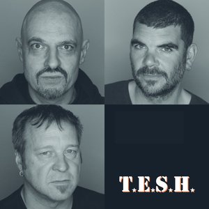 Profile Picture of T.e.s.h. (@herr-nielsson) on Myspace