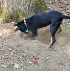 Profile Picture of Leo Frechette (@leo.frechette.3762) on Facebook