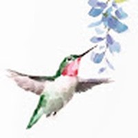 Profile Picture of Nanette Danielle Watson (@nanette-danielle-watson) on Quora