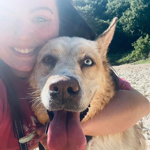 Profile Picture of Kristina Keisala (@kristinakeisala) on Poshmark