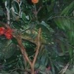 Profile Picture of Lori Mahan-Ewing (@mahanewing) on Instagram