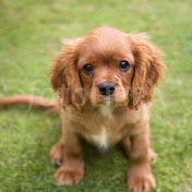 Profile Picture of Jasmine Solis (@jasminesolis7658) on Youtube