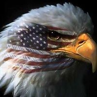 Profile Picture of John Nesselhauf (@johnnesselhauf) on Pinterest