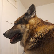 Profile Picture of James Cairney (@JamesCairney) on Youtube