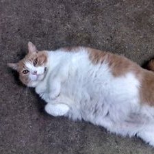 Profile Picture of Candy Stokes (@candystokes819) on Twitter