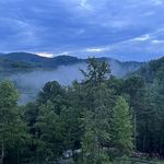 Profile Picture of Marian Knox Houseman (@mlkhouseman) on Instagram