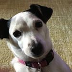 Profile Picture of Janet emery (@janlou6593) on Instagram