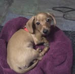 Profile Picture of Michael Sweatman (@michael.sweatman.605120) on Facebook