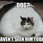 Profile Picture of Matthew Horak (@m_horak) on Instagram