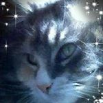 Profile Picture of Pamela Barrett (@pamela.barrett.1232) on Instagram