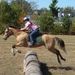 Profile Picture of Mandy Yarbrough (@horsetrainer22) on Pinterest
