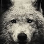 Profile Picture of Bea ⛵️ (@b.e.a_i.n.i) on Instagram