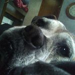 Profile Picture of cody Alvarado (@codyalvarado) on Instagram