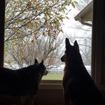 Profile Picture of Craig Struening (@shooter0618) on Instagram