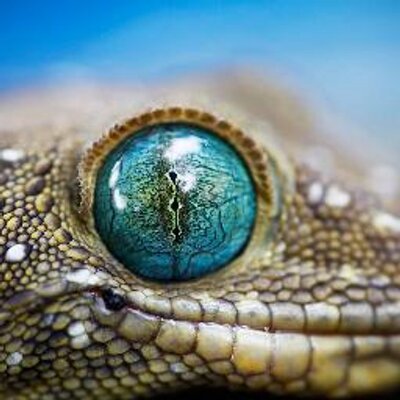 Profile Picture of Hugh Peter Manley (@HughPeterManley) on Twitter