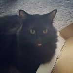 Stephanie Alvord - Instagram Profile Picture of Stephanie Alvord (@steph.alvord) on Instagram