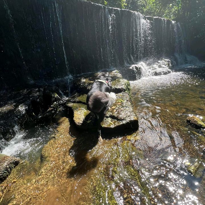 Profile Picture of brian (@brianpryde) on Tiktok