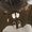 Profile Picture of Sorce Barty (@sorce.barty.1) on Facebook
