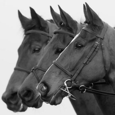 Profile Picture of Patrick McCann (@patrickmccannrp) on Twitter