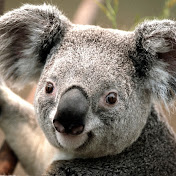 Profile Picture of Michael Trapp (@michaeltrapp678) on Youtube