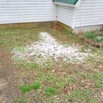 Profile Picture of Micah Grimes (@micah.grimes) on Instagram