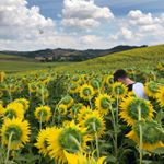 Profile Picture of Alberto Conforti (@alberto.conforti) on Instagram