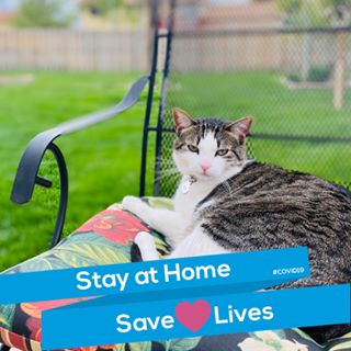 Profile Picture of Jeffrey Fowler (@Jeffrey-Fowler) on Facebook