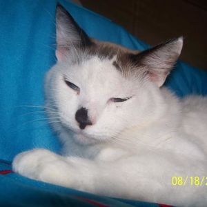 Profile Picture of Pamela Kiser (@coltonwyatt) on Myspace