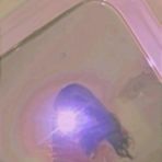 Profile Picture of Marienny Jimenez Angel (@D.M.J.E.X100PRE) on Facebook