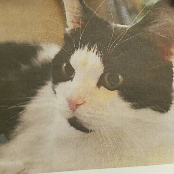 Profile Picture of Glenna Frost (@gfrostcheerful) on Poshmark