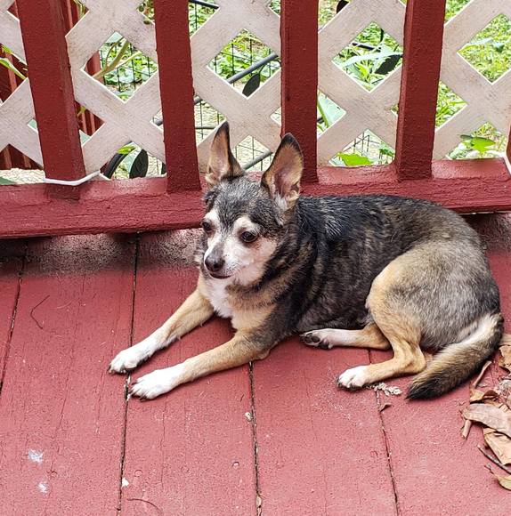 Profile Picture of David Hardin (@ukdavid) on Poshmark