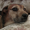 Profile Picture of Geoffrey Ellis (@Geoffrey Ellis) on Flickr