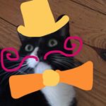 Profile Picture of Emily Bielagus (@emilybielagus) on Instagram