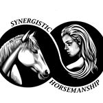 Profile Picture of Kristen Roberson (@synergistichorsemanship) on Instagram