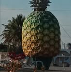 Profile Picture of David Ferreyra (@David-Ferreyra) on Facebook