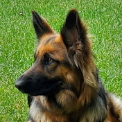 Profile Picture of Darrin Thomas (@darrinthomas812) on Youtube