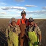 Profile Picture of Jeffrey Mangold (@jeffreymangold) on Instagram