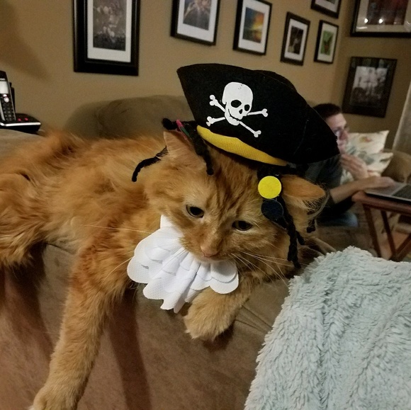 Christine Cappelli - Poshmark Profile Picture of Christine Cappelli (@christinecappel) on Poshmark