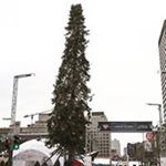 Profile Picture of Dave Sauvé (@sauve.dave) on Instagram