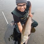 Profile Picture of Chris McMurray (@chriscatchesbigfish) on Instagram