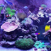 Profile Picture of Ariel Feliciano (@MrXtcbeat76) on Youtube