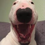 Profile Picture of Carlos Quezada (@carlos_from_school.2) on Instagram