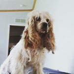 Profile Picture of blake otto (@lil_cat_man_225) on Instagram