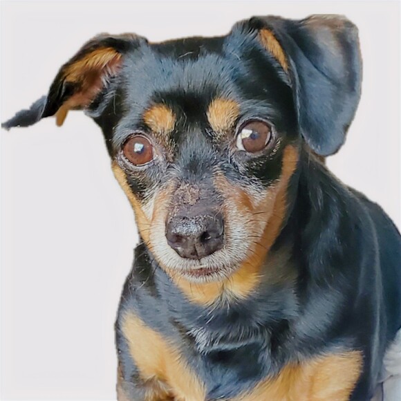 Profile Picture of Faron Degraw (@farond) on Poshmark