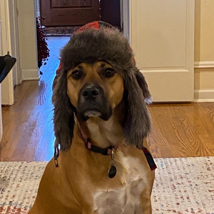 Profile Picture of Maxf (@maxfarris4) on Tiktok