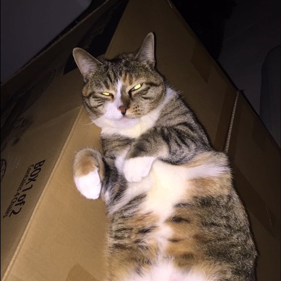 Profile Picture of Ryan Kern (@r_kern2) on Poshmark